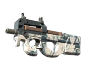 P90 | Schematic image