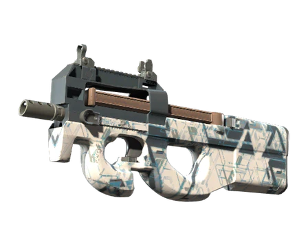 P90 | Schematic image