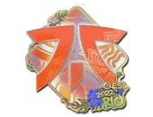 Sticker | Fnatic (Holo) | Rio 2022 image