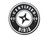Sticker | The Ninja image