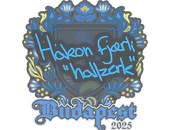 Sticker | hallzerk | Budapest 2025 image