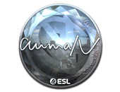 Sticker | aumaN (Foil) | Katowice 2019 image