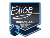 Sticker | EliGE | Cluj-Napoca 2015 image