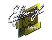 Sticker | flamie | Boston 2018 image