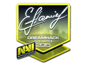 Sticker | flamie (Foil) | Cluj-Napoca 2015 image