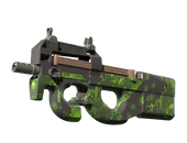 P90 | Virus image