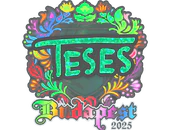 Sticker | TeSeS (Holo) | Budapest 2025 image
