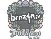 Sticker | brnz4n | Budapest 2025 image