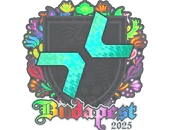 Sticker | PARIVISION (Holo) | Budapest 2025 image