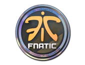 Sticker | Fnatic (Holo) | Cologne 2014 image