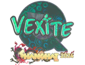 Sticker | vexite (Holo) | Shanghai 2024 image