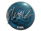 Sticker | flusha | Katowice 2019 image