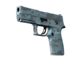 P250 | Forest Night image