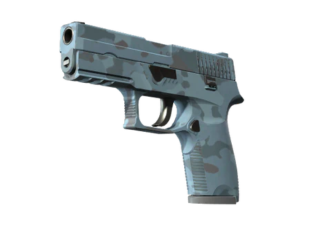 P250 | Forest Night image