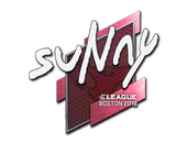 Sticker | suNny | Boston 2018 image