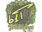 Sticker | b1t | Budapest 2025 image