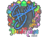 Sticker | siuhy (Holo) | Budapest 2025 image