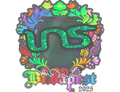 Sticker | INS (Holo) | Budapest 2025 image