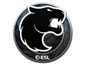 Sticker | FURIA (Foil) | Katowice 2019 image