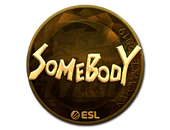Sticker | somebody (Gold) | Katowice 2019 image