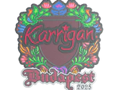 Sticker | karrigan (Embroidered) | Budapest 2025 image