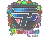 Sticker | paiN Gaming (Holo) | Budapest 2025 image