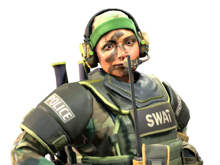 Lieutenant 'Tree Hugger' Farlow | SWAT image