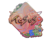 Sticker | TeSeS (Holo) | Rio 2022 image