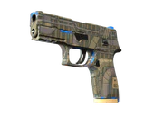 P250 | Exchanger image