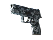 P250 | Steel Disruption image