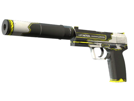 USP-S | Torque image