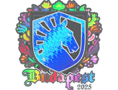 Sticker | Team Liquid (Holo) | Budapest 2025 image