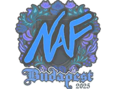 Sticker | NAF | Budapest 2025 image