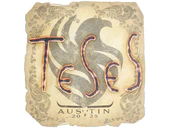 Sticker | TeSeS | Austin 2025 image