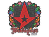 Sealed Graffiti | Astralis | Budapest 2025 image