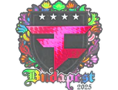 Sticker | FaZe Clan (Holo) | Budapest 2025 image