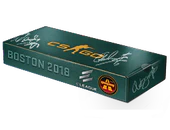 Boston 2018 Overpass Souvenir Package image
