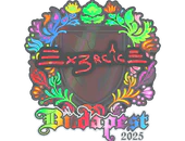 Sticker | Ex3rcice (Holo) | Budapest 2025 image