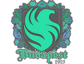 Sticker | Falcons | Budapest 2025 image