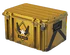 Winter Offensive Weapon Case image