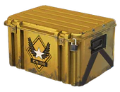 Winter Offensive Weapon Case image