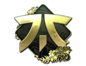 Sticker | Fnatic (Gold) | Rio 2022 image
