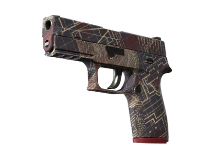 P250 | Facility Draft image