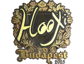 Sticker | HooXi (Gold) | Budapest 2025 image
