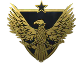 Brigadier General Pin image