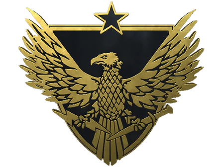 Brigadier General Pin image