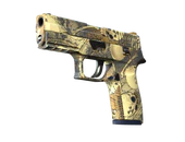 P250 | Contamination image