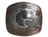 Sticker | FURIA (Foil) | Austin 2025 image
