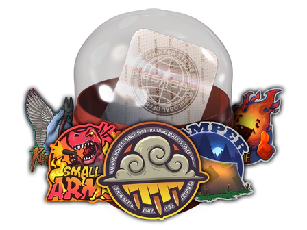 Community Capsule 2018 image