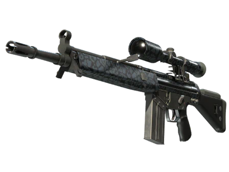G3SG1 | Murky image